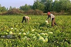 تصویر خبر: فرصت دوباره برای شرکت در جشنواره فیلم مستند ایران