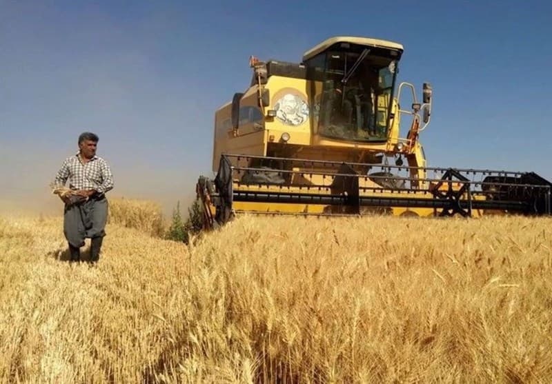 تصویر خبر: سلیمی: نباید کشاورز در الفبای کشت‌وکار خود بماند