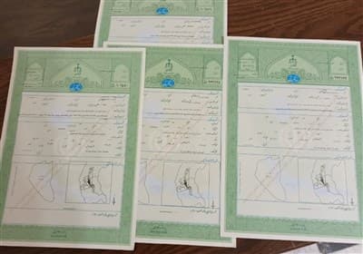 تصویر خبر: صدور 184 سند مالکیت برای اراضی حاجی‌آباد در نیمه نخست سال