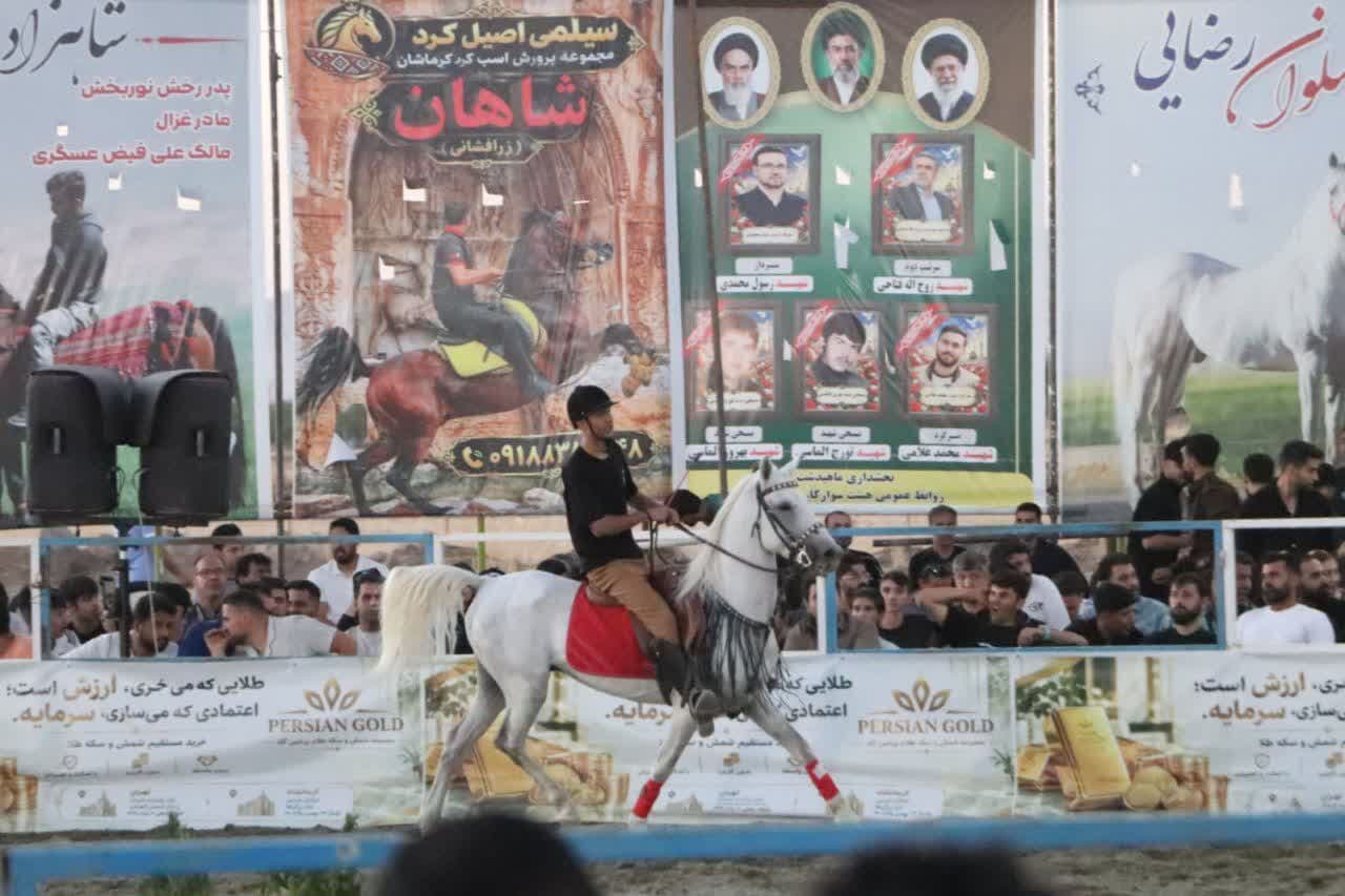 تصویر خبر: استاندار کرمانشاه: احیای اسب اصیل کُرد در دستور است
