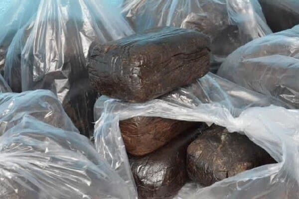 تصویر خبر: ملکی: ۱۲ کیلو تریاک جاسازشده در خودرو در خراسان شمالی کشف شد