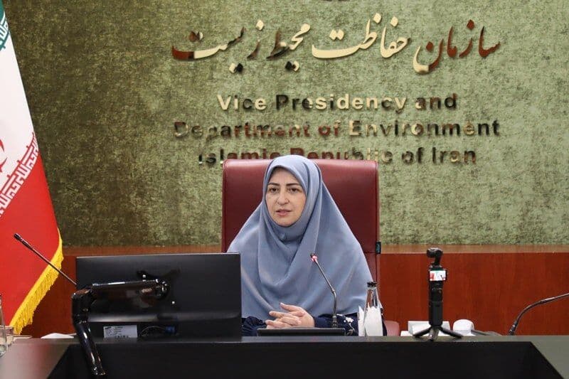 تصویر خبر: انصاری: ورزشکاران می‌توانند سفیران مؤثر محیط زیست باشند