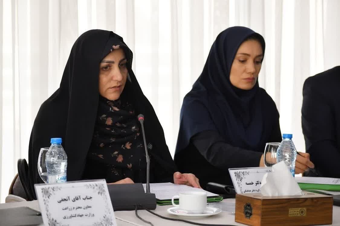 تصویر خبر: خمسه: مطالبات گندمکاران تا پایان شهریور پرداخت می‌شود