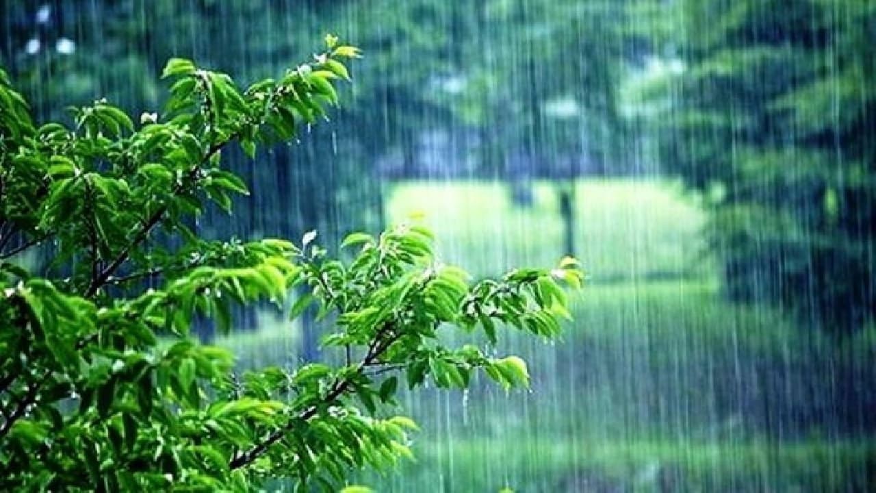 تصویر خبر: بارندگی در زنجان تا صبح چهارشنبه ادامه دارد