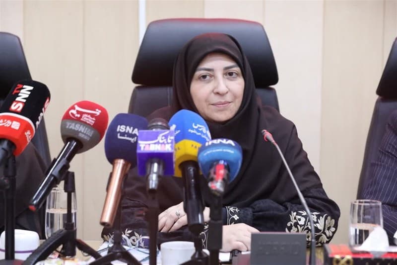 تصویر خبر: انصاری: مجوز جذب 480 نیروی جدید برای سازمان محیط زیست صادر شد‌