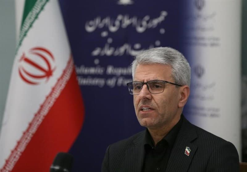 تصویر خبر: بقائی: فرانسوی‌ها صلح را برای همه نمی‌خواهند