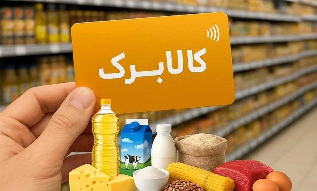 تصویر خبر: کالابرگ در خطر قطعی / سرپرستان خانوار فقط تا پایان شهریور فرصت دارند