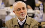 تصویر خبر: علی‌اکبر صالحی: امنیت، بستر حفظ میراث، فرهنگ و هویت ملی است
