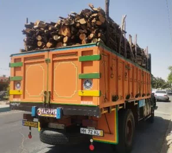تصویر خبر: کشف و توقیف بیش از ۲۳ تن چوب قاچاق در فارس