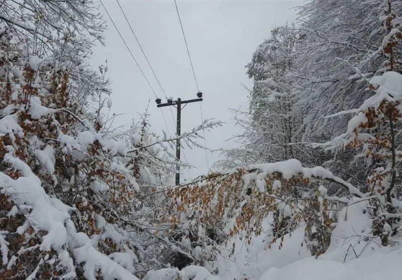 تصویر خبر: آماده‌باش حداکثری صنعت برق برای زمستان تأکید بر تأمین سوخت نیروگاه‌ها