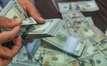 تصویر خبر: قیمت ارز و ظرفیت تحمل اقتصاد