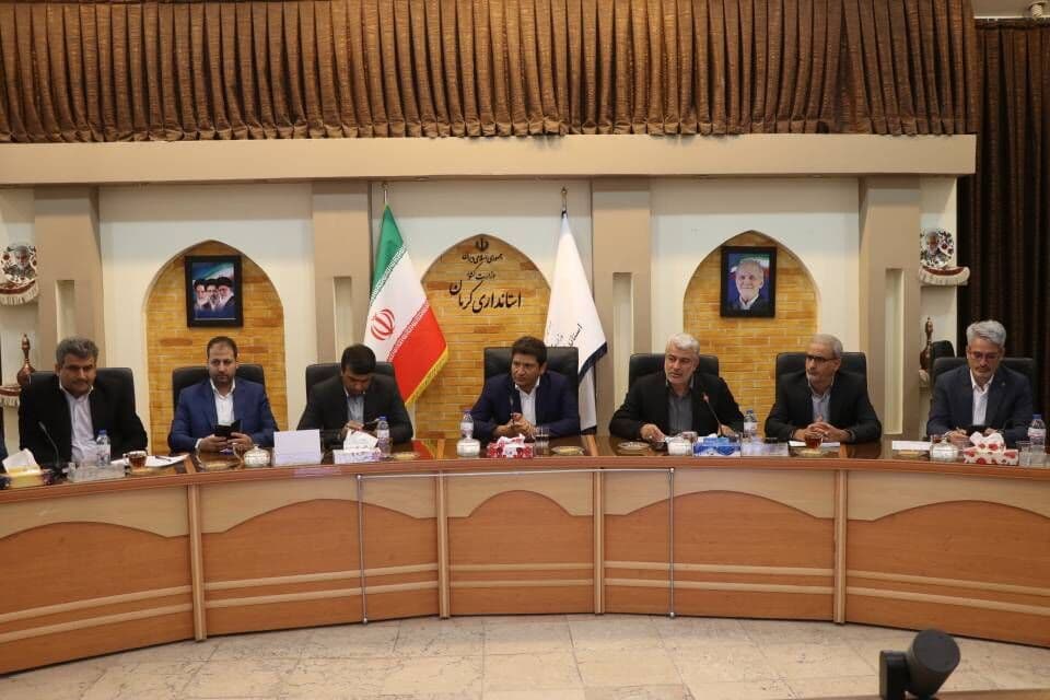 تصویر خبر: پیگیری تأمین ۳۰۰ میلیون لیتر سوخت جایگزین برای صیانت از تولید کرمان