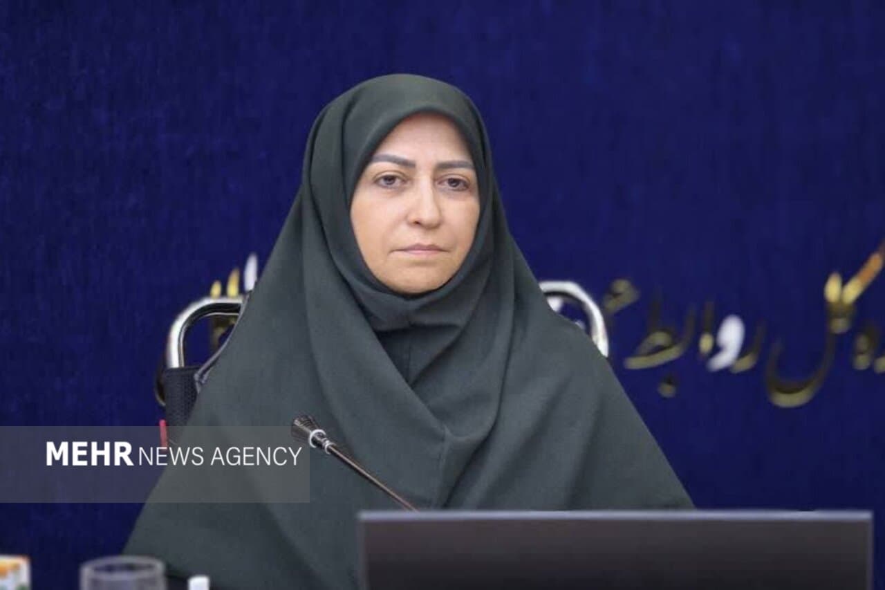 تصویر خبر: انصاری: پیشگیری از آلودگی، مهم‌تر از پاک‌سازی محیط زیست است