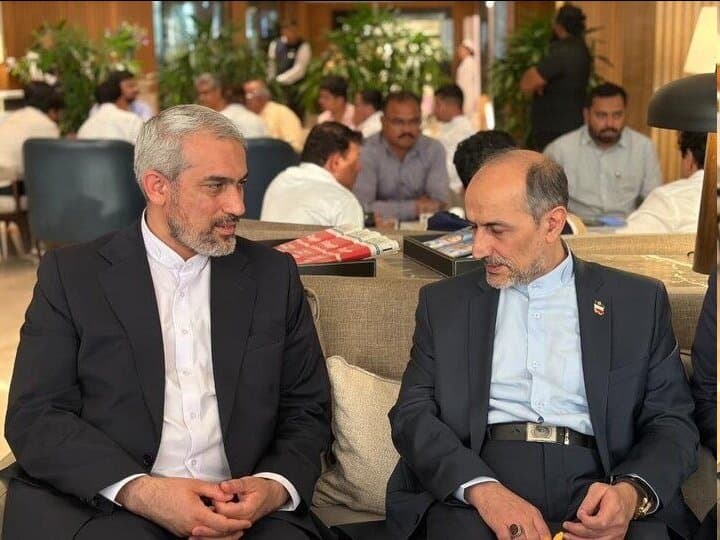 تصویر خبر: وزیر اقتصاد وارد هند شد ادامه دیپلماسی اقتصادی ایران در بریکس