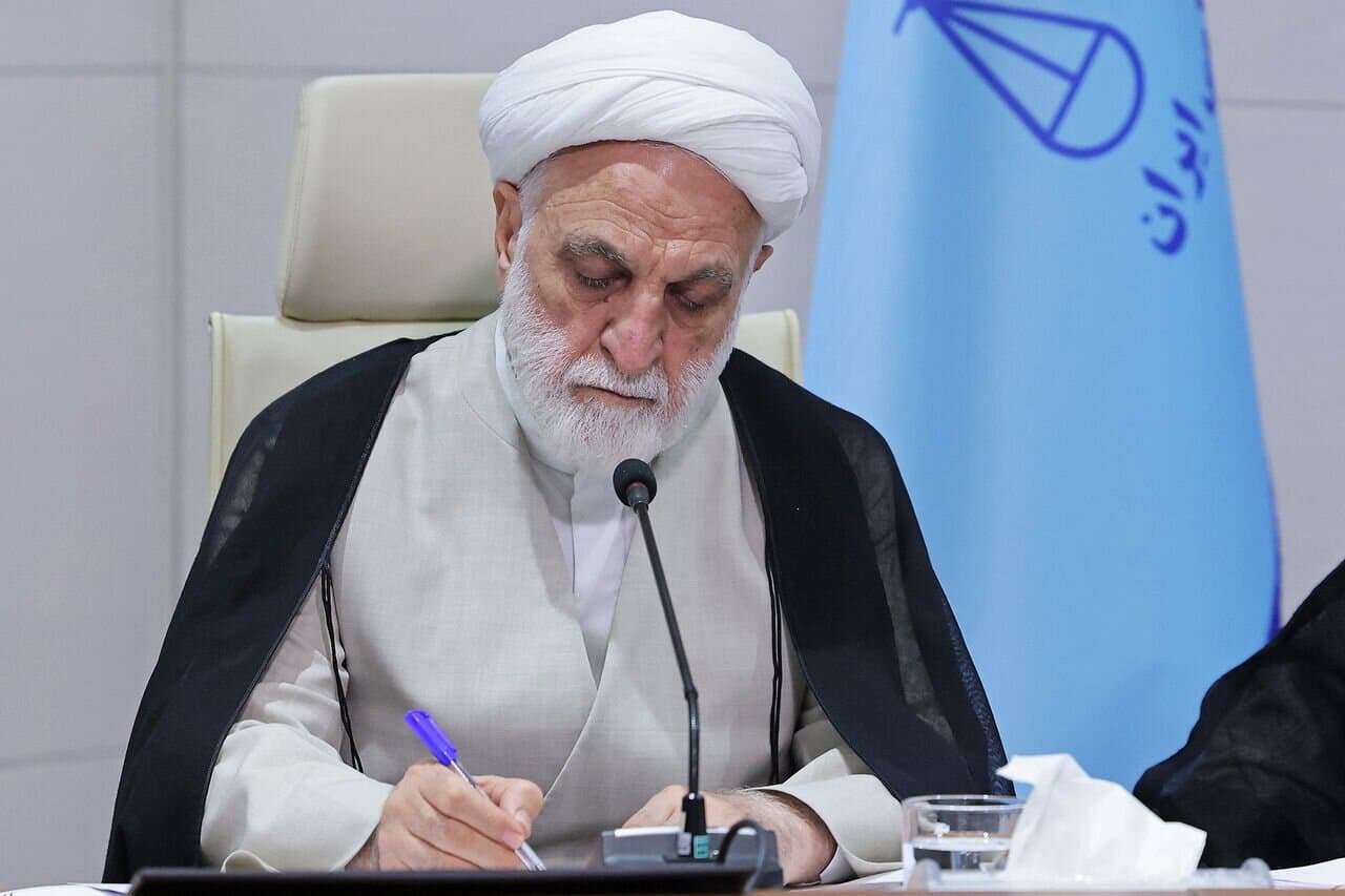 تصویر خبر: اژه‌ای: آمادگی داریم از جامعه پرستاری پشتیبانی حقوقی و قضایی کنیم