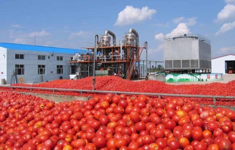 تصویر خبر: استاندار: توسعه صنایع تبدیلی اولویت آذربایجان‌غربی برای رونق تولید است