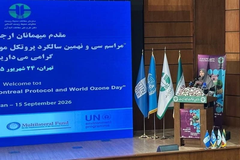 تصویر خبر: انصاری: لایه ازن در مسیر ترمیم و احیا قرار گرفته است