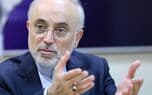 تصویر خبر: علی‌اکبر صالحی: ناتوانی در مدیریت سوءتفاهم‌ها می‌تواند پیامدهایی گسترده به دنبال داشته باشد/ از مسیر صلح حدیبیه می توان به فتح مکه رسید