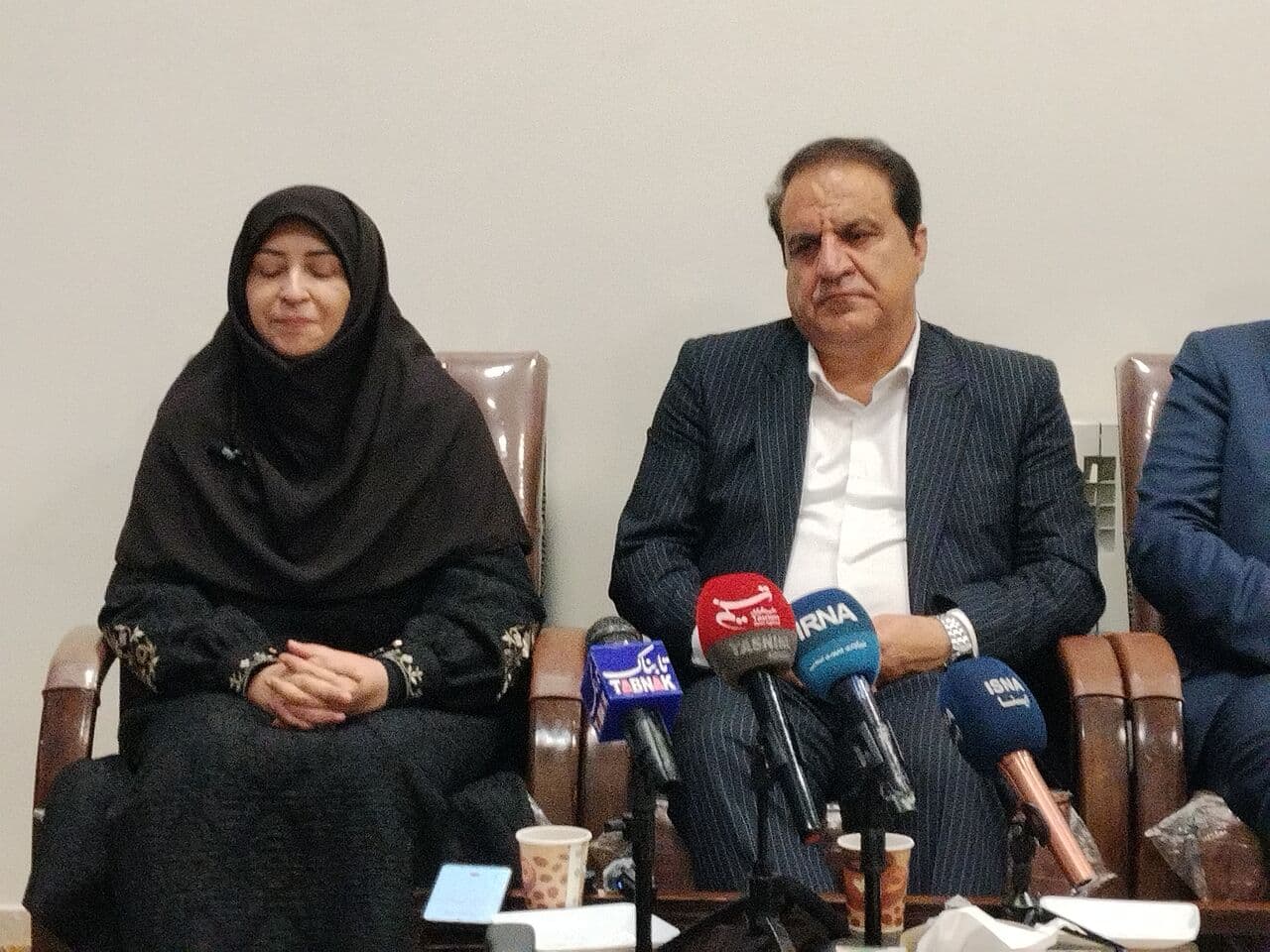 تصویر خبر: انصاری: نگاه دولت چهاردهم به محیط‌زیست جامع و پایدار است