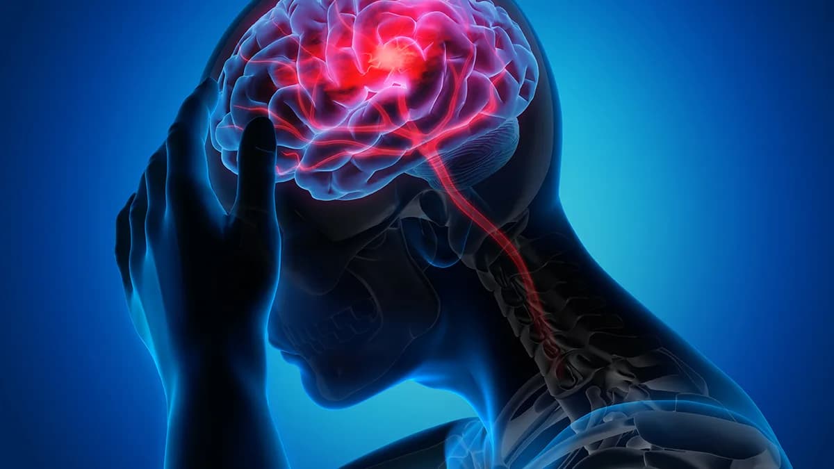 تصویر خبر: هوش مصنوعی جدید دانشمندان با تحلیل DNA می‌تواند ریسک سکته مغزی را پیش‌بینی کند