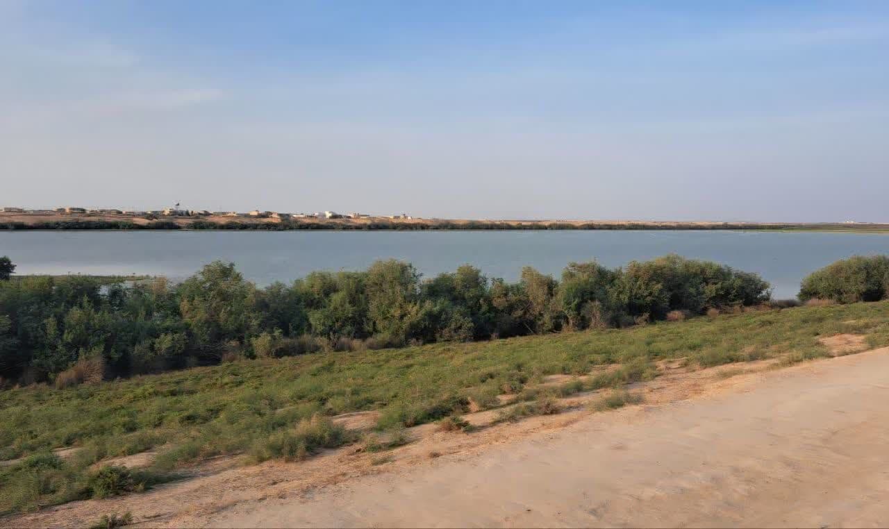 تصویر خبر: بازگشت امید به تالاب بین‌المللی گلستان
