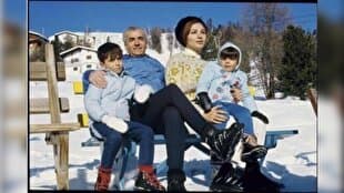 تصویر خبر: سوئیس‌گردی برای یک دندان‌درد معمولی