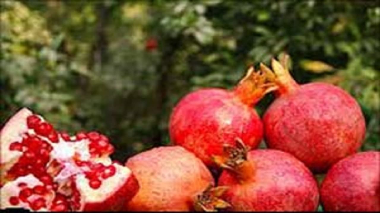 تصویر خبر: بهشهر قطب تولید انار شرق مازندران