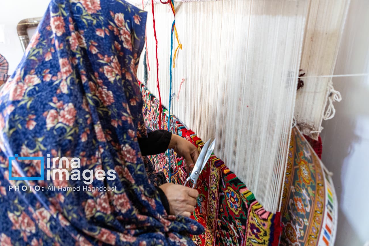 تصویر خبر: نرخ مشارکت اقتصادی زنان فقط ۱۳.۴ درصد است/ لزوم اشتغال پایدار و درآمدزا برای بانوان