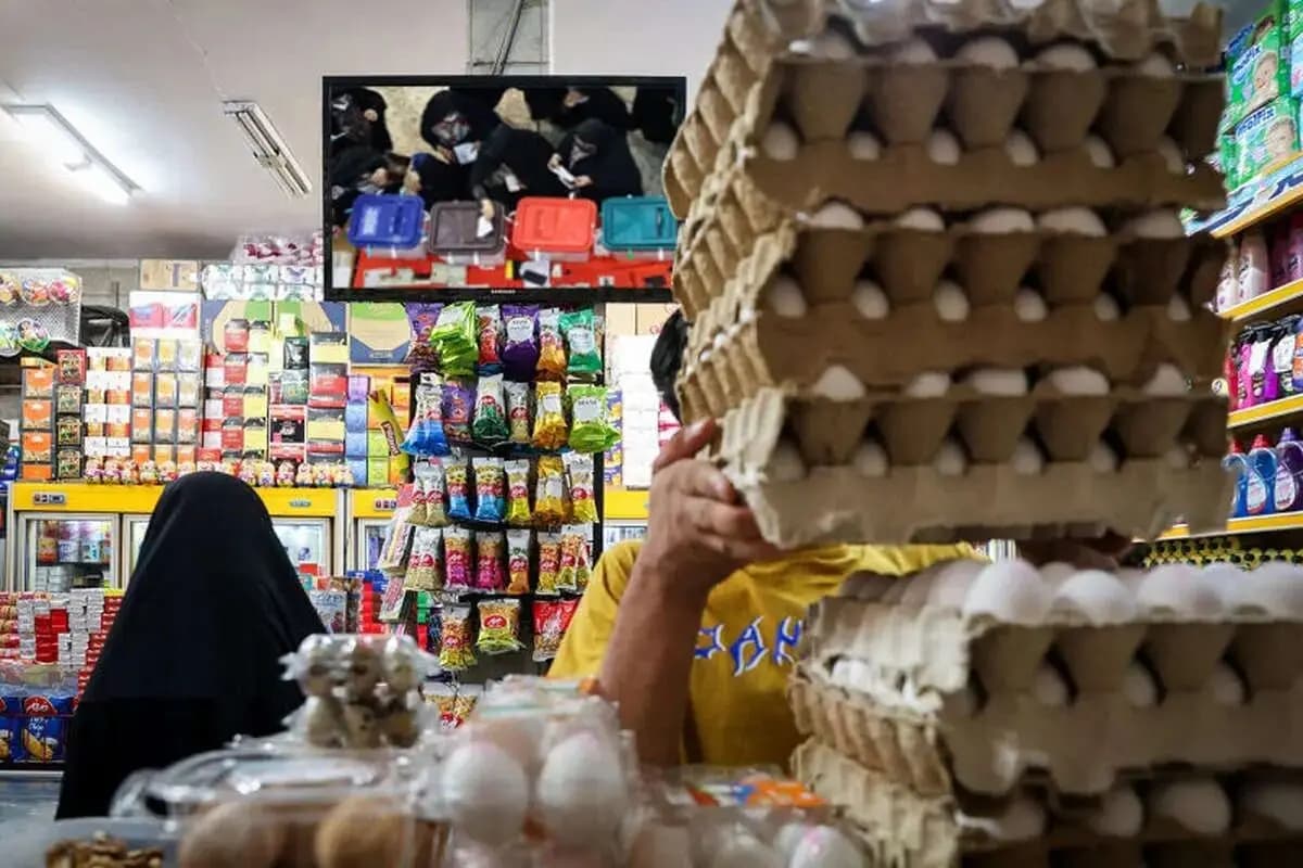 تصویر خبر: شرایط افزایش کالابرگ